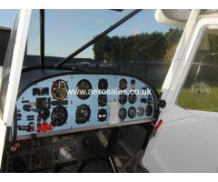 Savannah Microlight For Sale