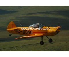 Taylor Monoplane For Sale