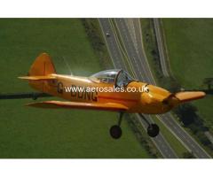 Taylor Monoplane For Sale