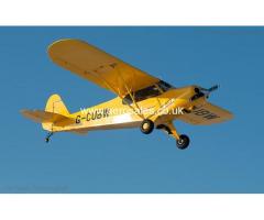 Clip Wing Super Cub